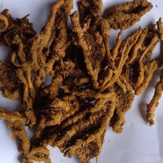 石柱黄连 坨子，鸡爪连，价格详聊