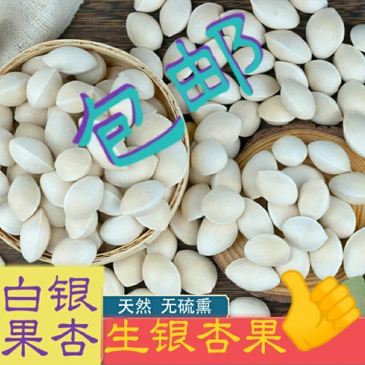 银杏果生百果仁带壳白果徐州产1000g包邮
