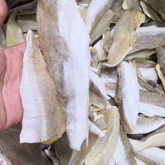 湛江红鱼干 湛江海产干货  红鱼肉干