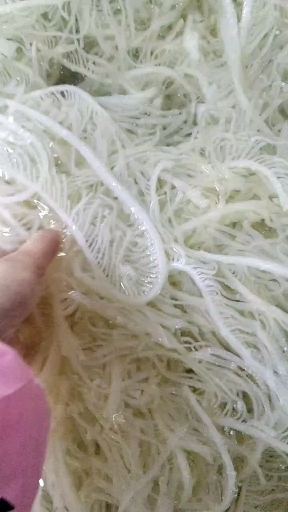 成都牛百叶 水发白千层