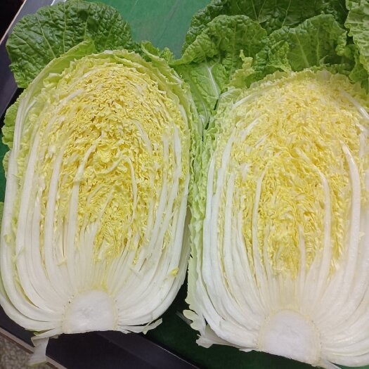 天门市矮白菜 湖北省天门市天门市