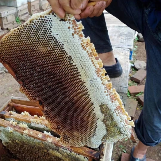 临城县百花蜜 42 24个月以上 取用时不要沾水 2021-06-