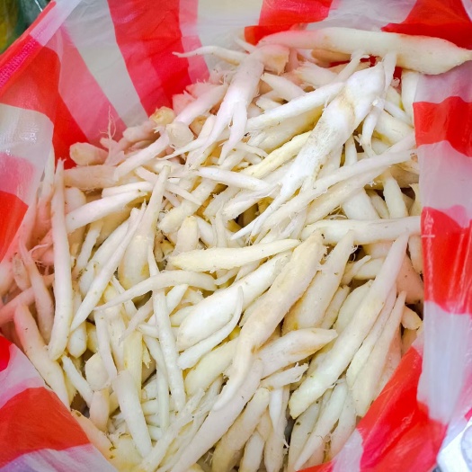 清原县荠菜  鲜去皮山胡萝卜