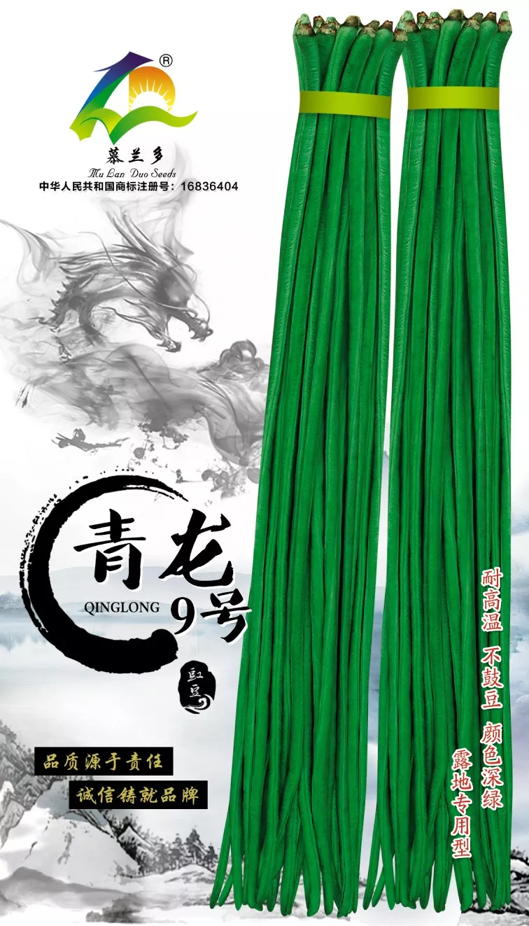 定州市拒绝假货豇豆种子长豆角种子豆角种子架豆种子蔬菜种子菜籽包邮