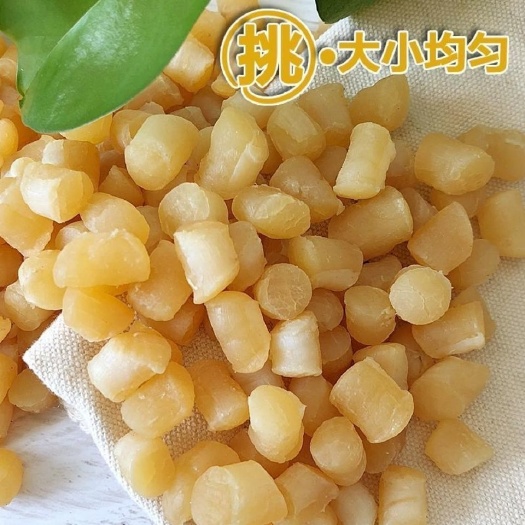新鲜干贝 瑶柱肉 扇贝丁 干贝丁 海鲜水产干货批发