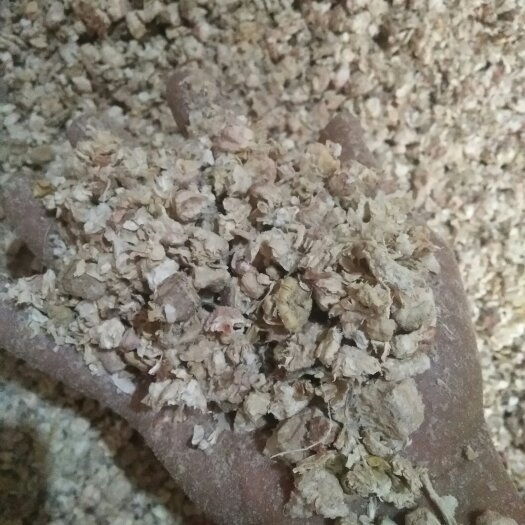 大方县 玉米芯