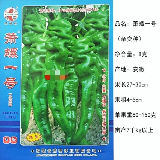 沭阳县萧螺一号螺丝椒种子小叶大果辣椒种子 螺丝椒杂交一代辣味浓高