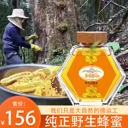马山县多彩瑶山野蜂蜜采自人烟罕至的深山老林蜜质纯正品味自然500g
