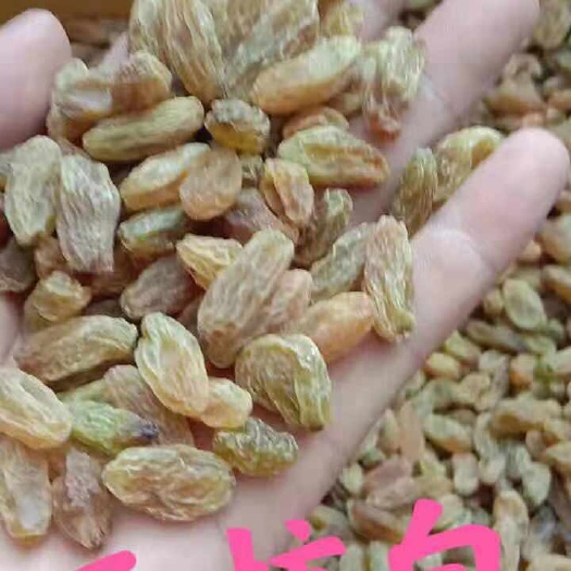 乌鲁木齐无核葡萄干 新疆吐鲁番市葡萄干无核白