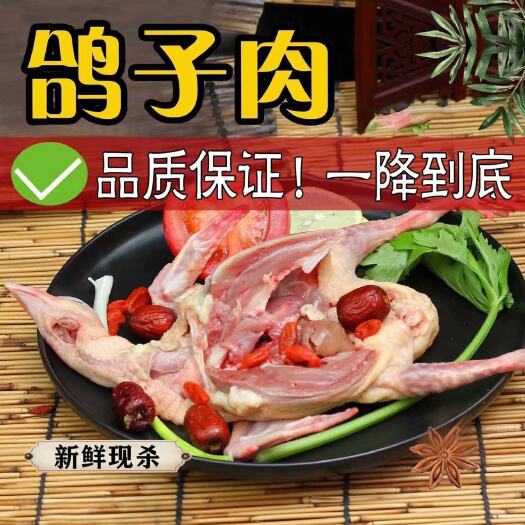 尉氏县 鸽子肉新鲜现杀乳鸽农家散养土鸽子批发元宝鸽煲汤新鲜乳鸽第一名