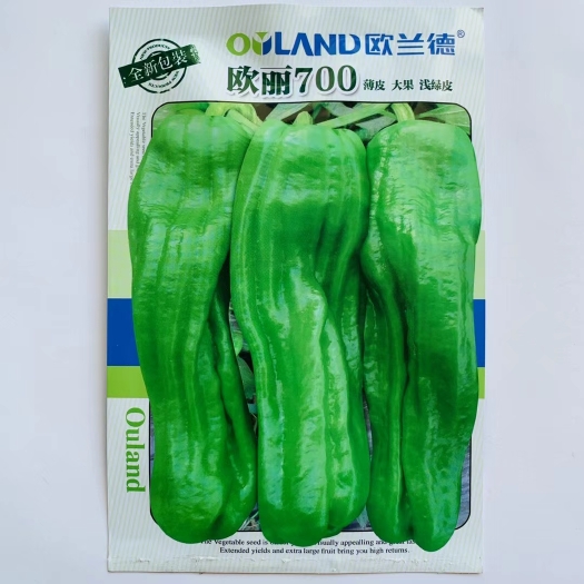 沭阳县欧丽700辣椒种籽薄皮大果浅绿皮更新代果型更大味辣清脆新种