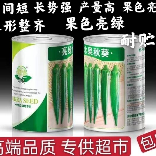 沭阳县亮绿水果秋葵种子靓绿668春夏秋冬四季盆栽蔬菜杂交高产秋葵