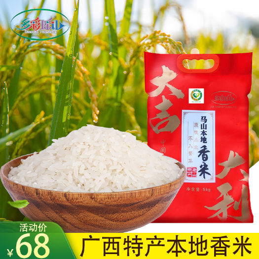 马山县米多彩瑶山香米南方广西马大米5kg/袋 十斤