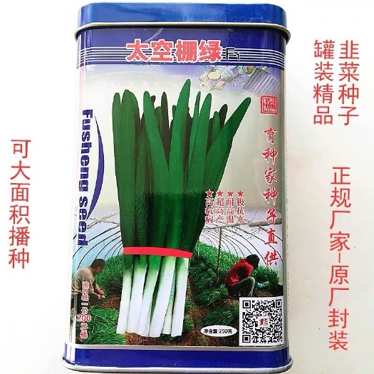 沭阳县太空棚绿韭菜种子高端耐热抗寒亩产250克装