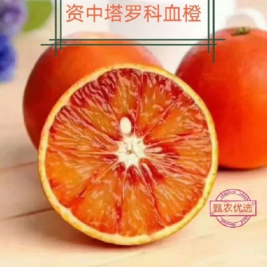 资中县资中血橙塔罗科血橙鲜果产地一件代发