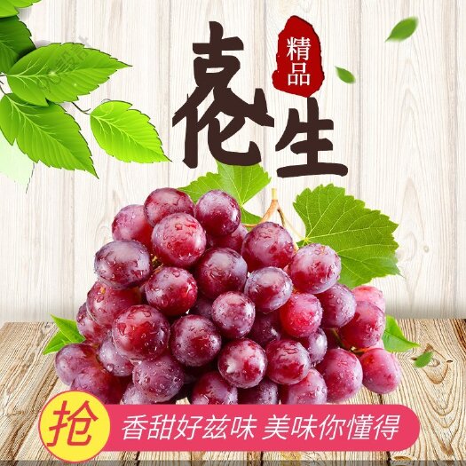饶阳县克伦生葡萄  山西避雨棚克伦生