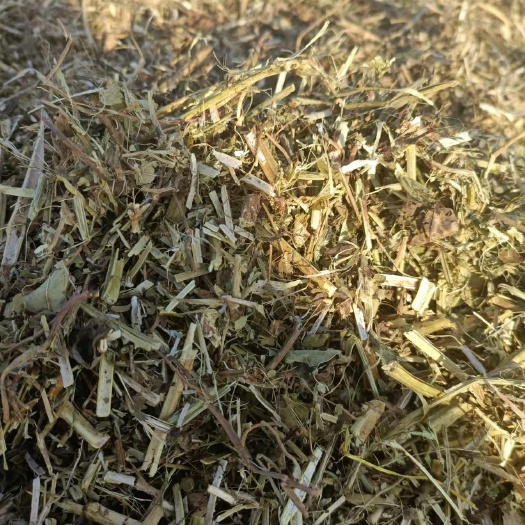 金乡县 花生秧