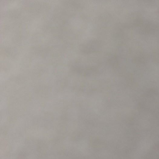  猪毛