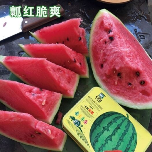 沭阳县卡其美都西瓜种子原装700粒一罐正宗美都麒麟西瓜种子