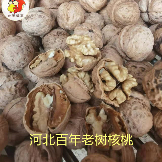青龙县【推荐】河北薄皮青龙核桃