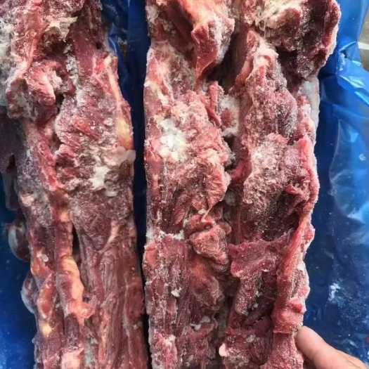 牛骨 牛脖骨