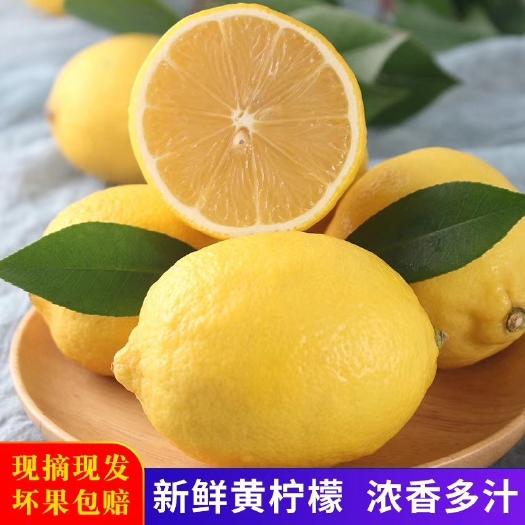 尤力克柠檬 柠檬安岳柠檬鲜果奶茶店供应一件代发