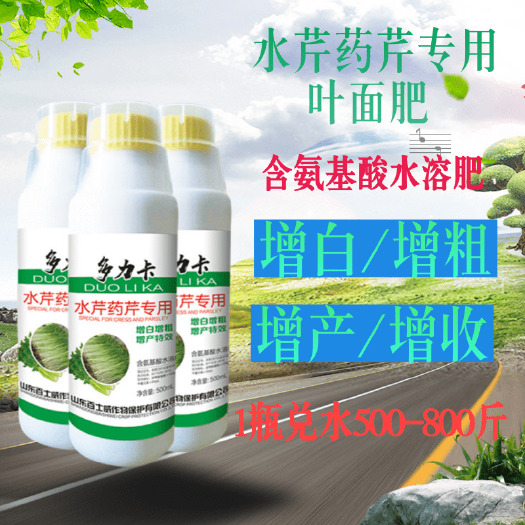 潍坊水芹芹菜增白剂芹菜专用叶面肥春芹菜水芹菜芹菜通用增白增产增收