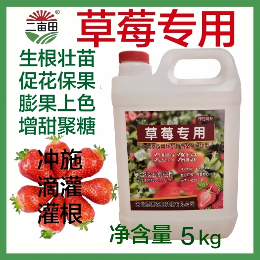 草莓专用水溶肥