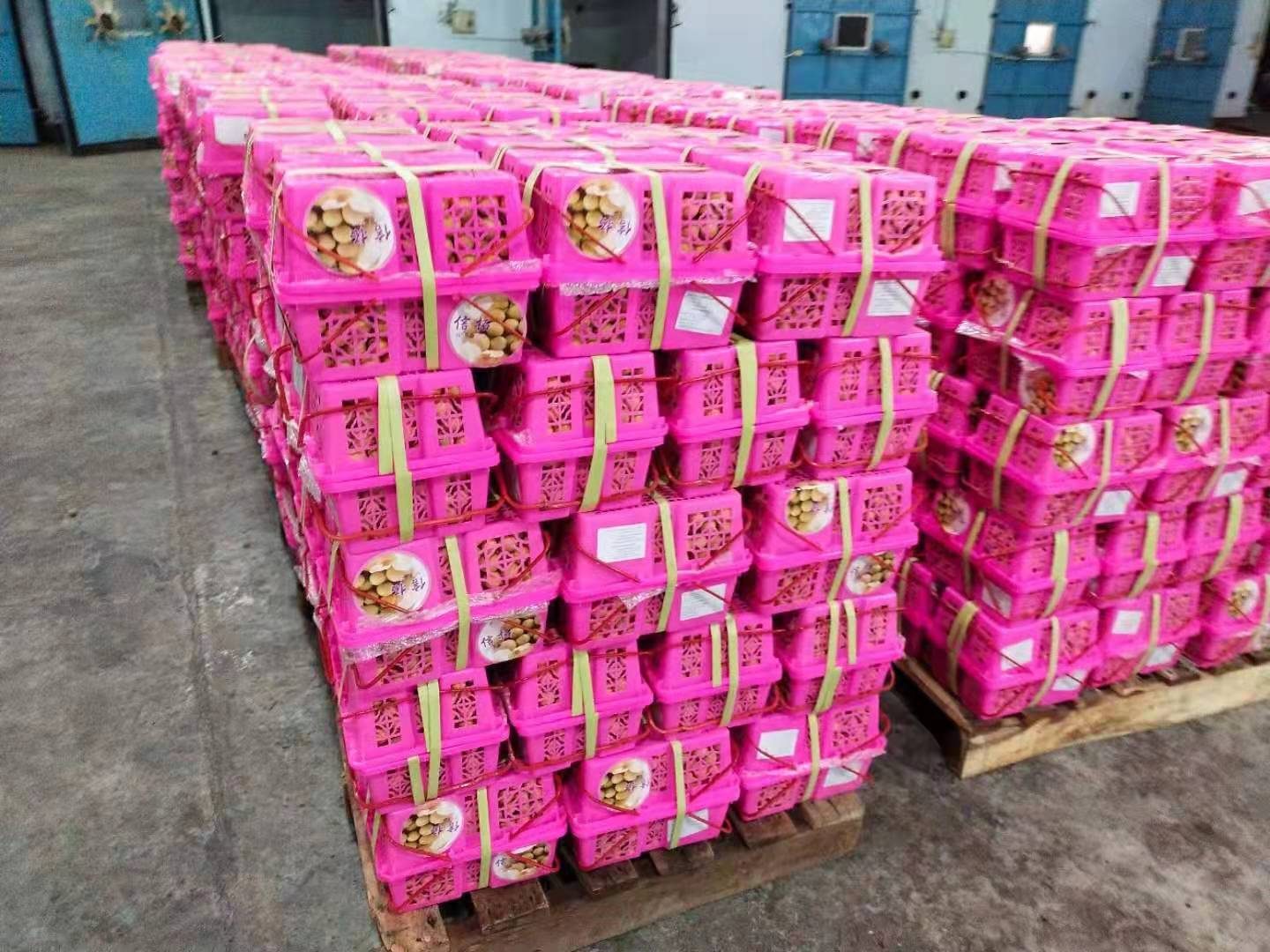 泰国龙眼-5斤礼盒小红框大桂圆