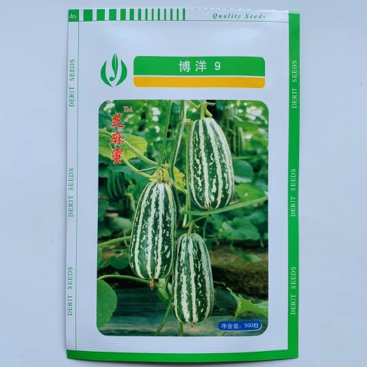 沭阳县博洋甜瓜种子 博洋9号甜瓜种子香瓜种子洋香瓜种子花皮甜瓜酥脆香瓜籽甜瓜种子
