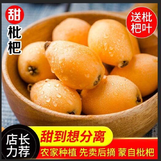 蒙自市蒙自枇杷
现摘 云南蒙自高山枇杷鲜果批发价