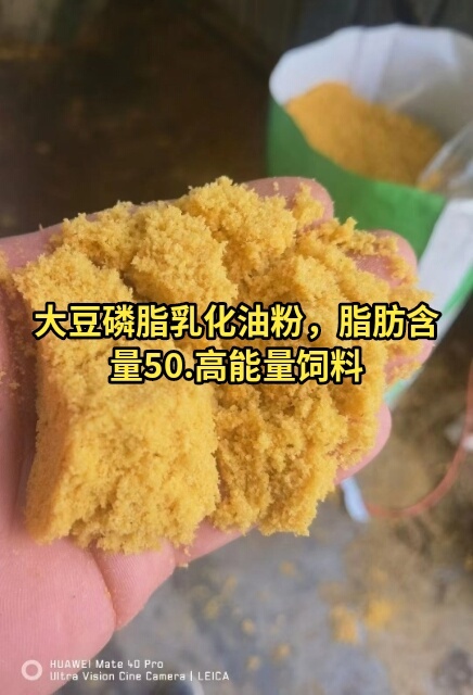 石家庄 大豆磷脂乳化油粉