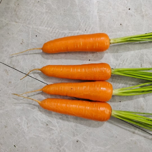 宾阳县广西优质胡萝卜，一到五月份大量上市，价格优产地直销。