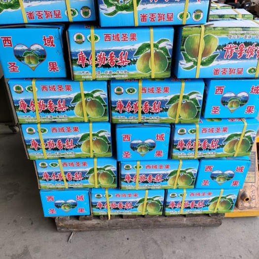 赵县早酥梨新梨七号大量现货出售口感嘎嘎甜！