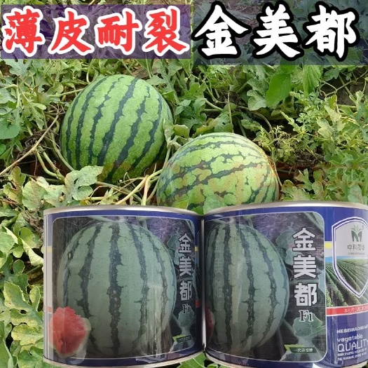 沭阳县中科茂华水果种子金美都西瓜种子改良8424麒麟瓜高纯度 薄