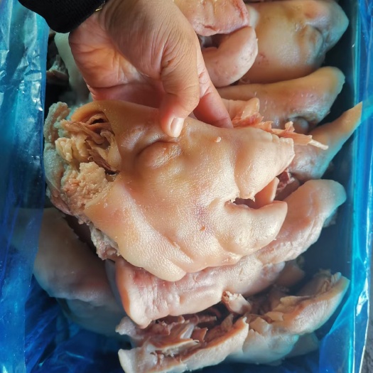 深圳卤猪头肉 预煮猪头肉