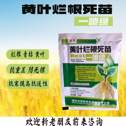 诸城市黄叶烂根一喷绿黄叶卷叶枯萎喷雾一袋一桶水