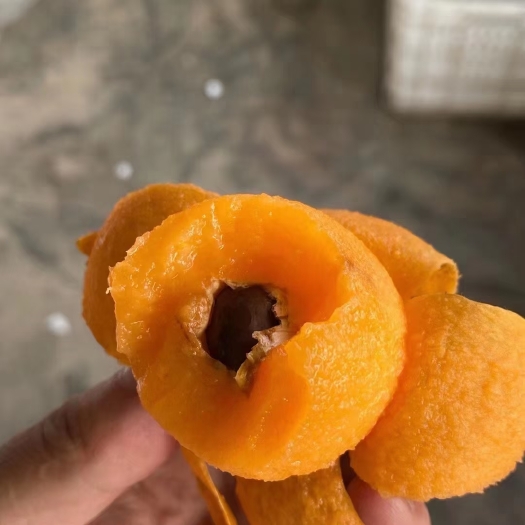 蒙自市 云南蒙自大枇杷新鲜水果