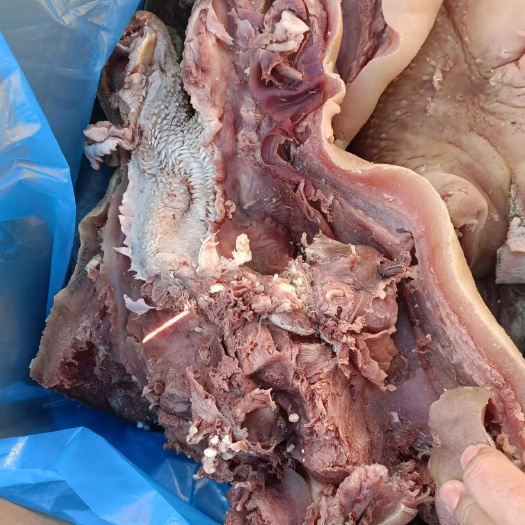 牛头肉，全熟牛头肉，火烧毛，去油去骨去淋巴，肉多干净，不减法