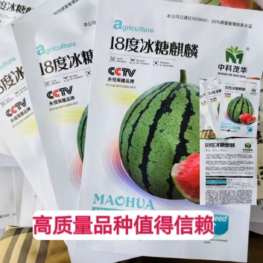 沭阳县 18度冰糖麒麟西瓜种子早熟高产抗病超甜粉红瓤西瓜种籽