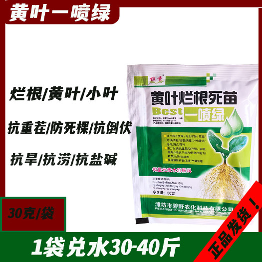微量元素水溶肥 一喷绿 微量元素肥料 30克