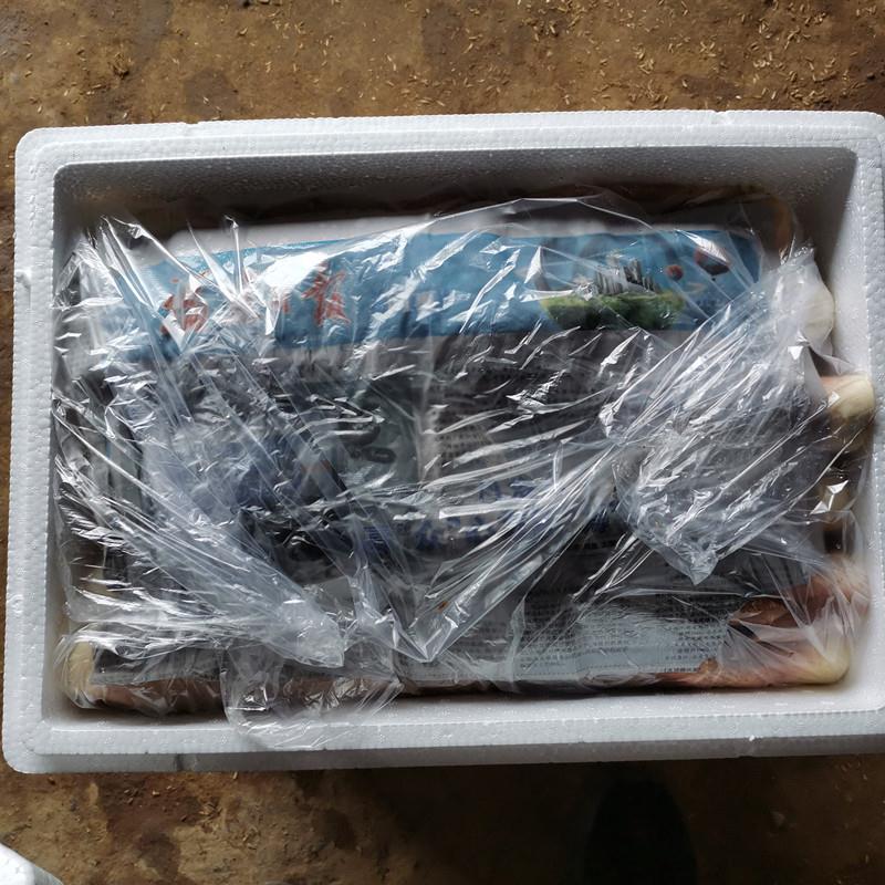 建瓯雷笋福建谷糠雷竹笋产地批黄泥谷糠笋  产地新鲜直达