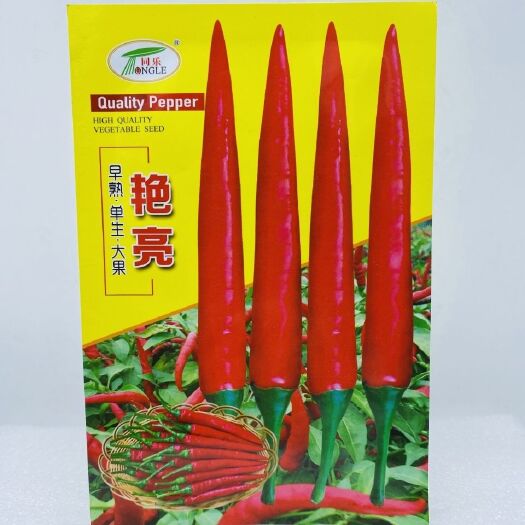 沭阳县朝天椒种子 ​艳亮朝天椒早熟大果干鲜两用辣椒种子5克1000