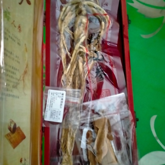 东莞市林下参  林下参（净重七十克左右）