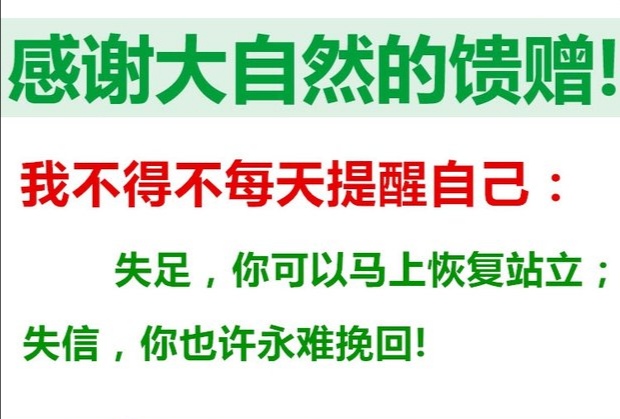 红葡萄干新疆特产吐鲁番市红马奶葡萄干500g袋装干果直销包邮