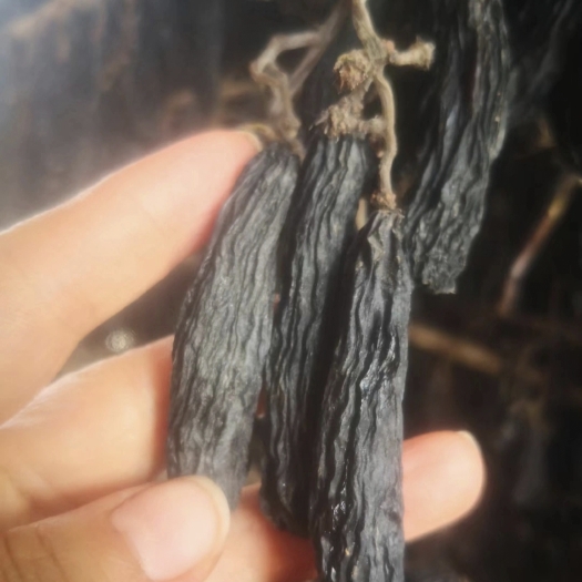 乌鲁木齐 特级蓝宝石葡萄干。