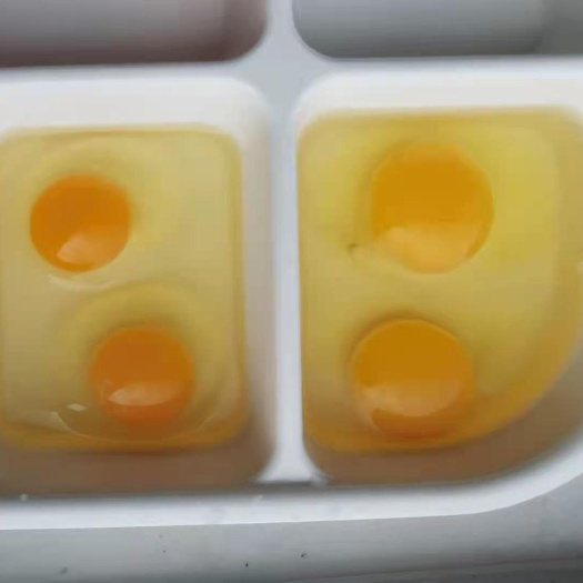 威海粉壳蛋 双色粉蛋30斤框装批发