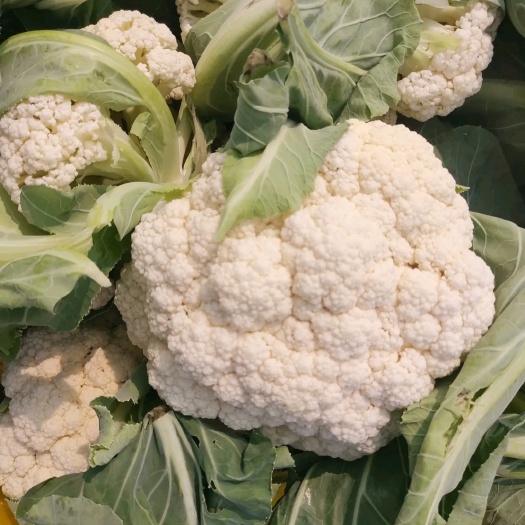 北京花菜   精品菜花，松花，需要联系，北京一斤起批，外地包送，