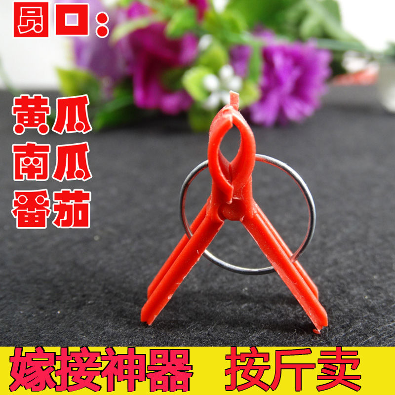 嫁接夹育苗嫁接夹瓜果蔬菜花卉苗木圆口平口嫁接小夹子