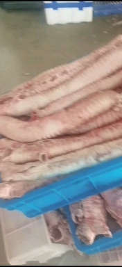 中山市牛杂 精品牛气管
